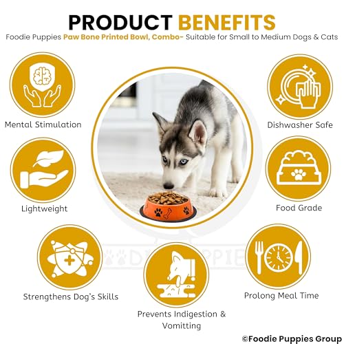 Image of Foodie Puppies Stainless Steel Dog Bowl Combo - (Medium, 700ml) Food and Water Feeding Gift Bowl | Suitable for Dogs, Cats and Other Pets I Paw Bone Print, Anti-Skid Rubber Base (Yellow + Orange)