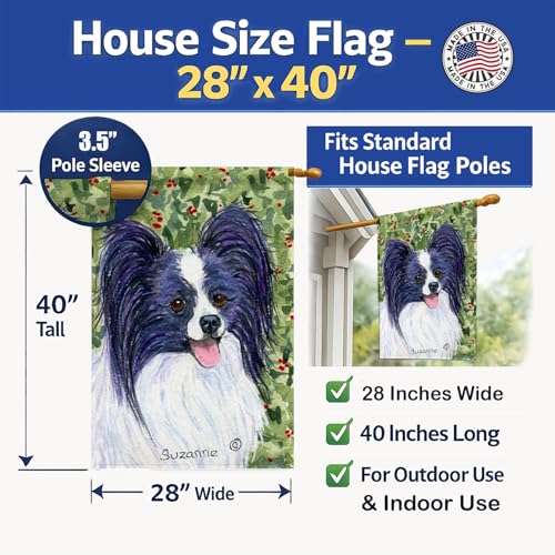 Drapeau Papillon grand format pour maison Caroline's Treasures SS8811CHF