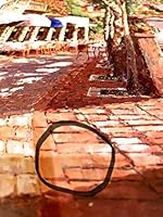 S. Sam Park New Impressionism B001J4RRD4 Book Cover