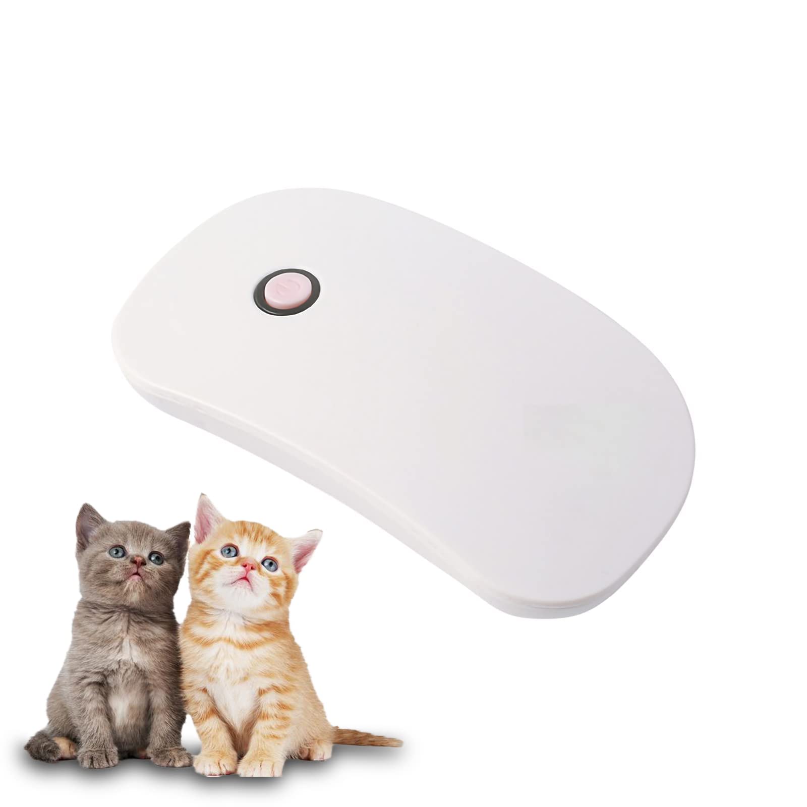 Why Does My Dogs Head Vibrate