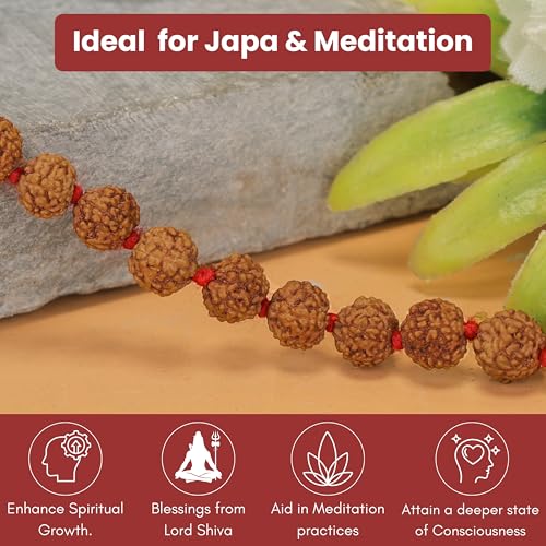 Image of Vado 5 Mukhi Rudraksha Mala 108 Panchmukhi Beads with Certificate 5mm (Brown)