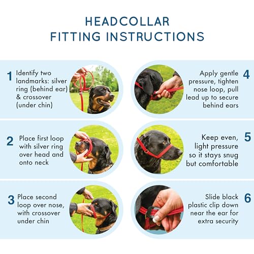 Gencon - Medium Size Anti Pull Dog Headcollar - Soft & Gentle Control - Practical Dog Training & Behaviour Aid - Left Hand - UK Made - Doesn't Include Lead - Coffee/Cream - Image 5