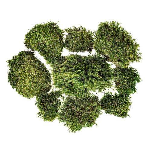 Vickerman Green Mood Moss - Artificial Moss for Decor - Rich Color and Texture - 2.7 lbs Per Case