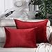 SterneMond Lot de 2 housses de coussin 60 x 80 cm - Housses de coussin décoratives - Grand choix de couleurs - Rectangulaires en peluche unie - Pour canapé, chambre à coucher - Rouge