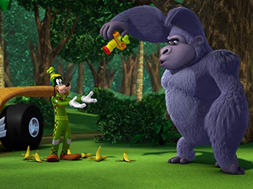 Animal Antics / Here, Kitty, Kitty, Kitty!