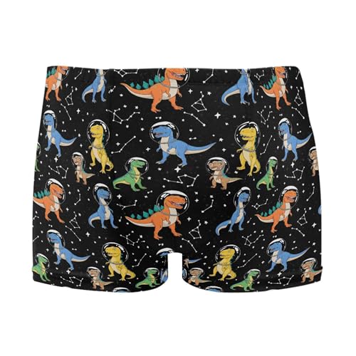 Cute Dinosaur Mens Swim Trunk Swimwear Bathing Suit Swim Brief Square Leg Board Short S B0404094