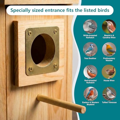 KraAra Bird Houses for Outside Clearance with Copper Guard, Cedar Bird House Outdoor, Bluebird Finch Swallow Wren Chickadee No Assembly Required, 1 Pack - Thumbnail 7