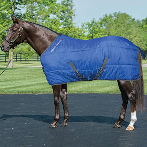 Couverture box Horses de haute facture pour la protection des chevaux