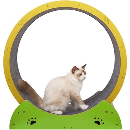Amazon Co Jp キャットホイール 猫のトレッドミル 回し車 Mdf素材 キャットエクササイズホイール 爪研ぎ ノイズなし 猫のおもちゃ ローラーキャットランニングホイール キャット ローラー ペット用品