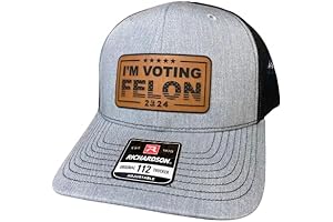 Conservative MAGA Felon Voting Cap