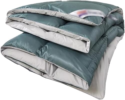 ZHUHW Double Color Duvet is Comfortable, Soft, Thick and Warm in Winter Duck Down Quilt core Hotel Double Spring and Autumn Thin Quilt ( Color D ,