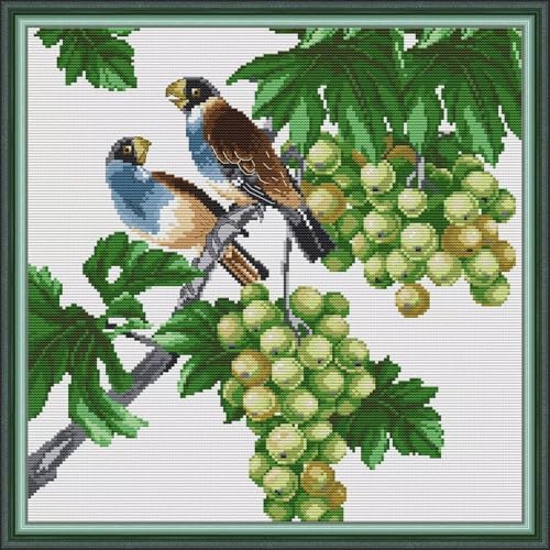 Image of Stamped Cross Stitch Kits Full Range of DIY Needlepoint for Adult Beginners Pattern, for Gift and Home Decor 14CT 2 Strands Two Parrots 5,15x15 inch