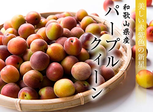 Amazon | 梅 パープルクイーン 秀品 大玉 2Lサイズ 約2kg 和歌山県産 