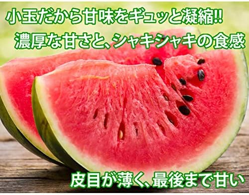 すいか 小玉すいか ひとりじめ 秀品2玉 約3kg 熊本県産 スイカ 西瓜 フルーツ お取り寄せ