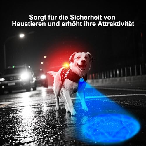 UMIONE PET LIGHT: Wasserdichtes Hundelicht, langlebig und ideal für Nachtspaziergänge (Blau, 1 Stück)