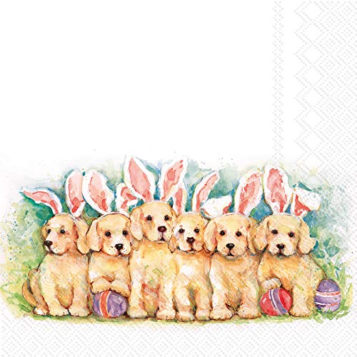 Boston International IHR 3-Ply Paper Napkins, 20-Count Lunch Size, Candy Dogs