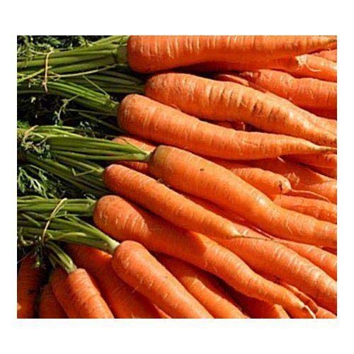 Carrots"Little Fingers" Petite Seeds (20 Seed Pack)