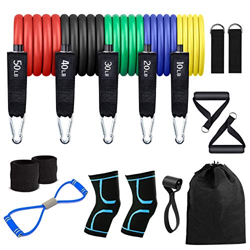 JawaMax Fitness Insanity Resistance Bands Set - 16-Piece Exercise Bands - Portable Home Gym Accessor JawaMax Fitness Insanity Resistance Bands Set - 16-Piece Exercise Bands - Portable Home Gym Accessor