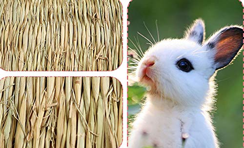 Yesland 12 pack woven bed mat for rabbits - grass mat & bunny bedding nest - rabbit bed and natural chew toy bed for guinea pig chinchilla squirrel hamster cat dog and small animal 5 Yesland 12 pack woven bed mat for rabbits - grass mat & bunny bedding nest - rabbit bed and natural chew toy bed for guinea pig chinchilla squirrel hamster cat dog and small animal - image 6