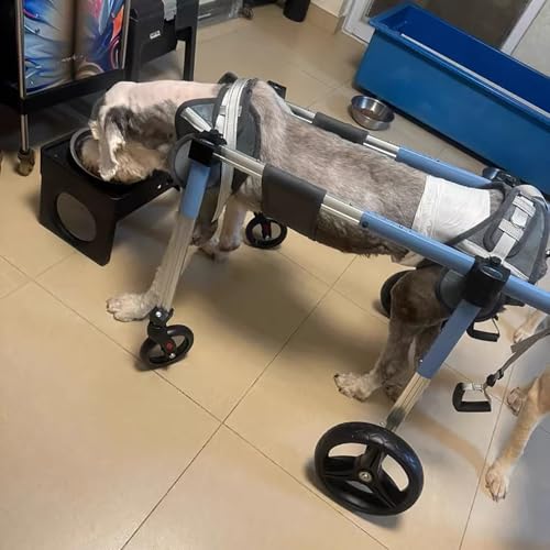 Silla Ruedas Perro Silla de Ruedas para Perros con Soporte Completo de 4 o 2 Ruedas, Carrito de Movilidad Ajustable para Perros Grandes, Medianos y Pequeños, Soporte para Patas para Mascotas(Blue,L)