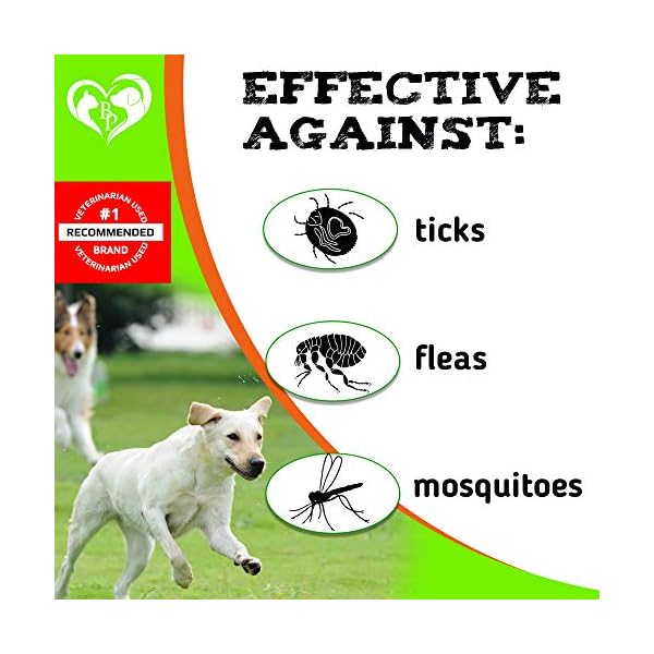 Flea and Tick Prevention Chewable Pills for Dogs Revolution Oral Flea