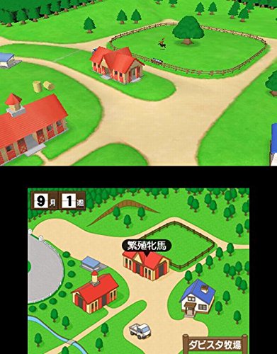 Amazon.com: Nintendo the Derby Stallion GOLD (first purchase bonus