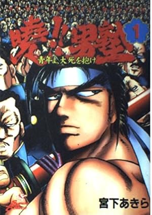 Amazon.co.jp: 私立極道高校2011 1巻 (ニチブンコミックス