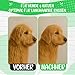 NEU! Profi Hundekamm zur Fellpflege von mittlerem & langem Haar bei Hunde & Katzen, Pudel, Goldendoodles I Golden Pets kompatibel - Gegen Knoten und zum Finish I + neues E-Book Größe S