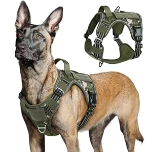 rabbitgoo Tactical Dog Harness for Large Dogs, No Pull Military Service Vest with Handle & Molle, Easy Control for Training Walking, Adjustable Reflective Straps, Green camo, L