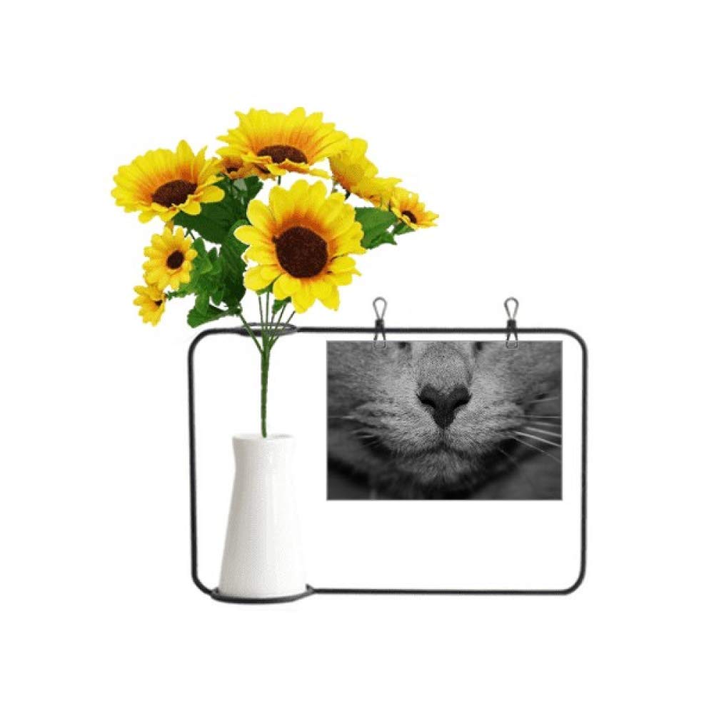 Chat et tournesol artificiel en bouteille pour illuminer votre bureau