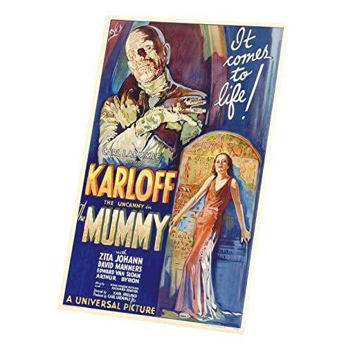 Affiche Anglaise de Film la Mommie Tableau Toile Rétro 30x46cm