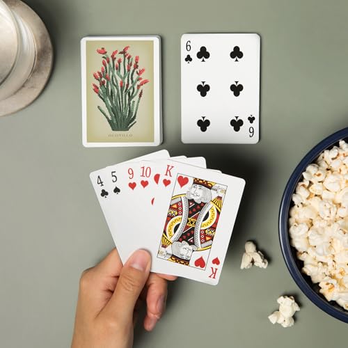 Lantern Press Ocotillo, 52 cartas tamaño póker miniatura 2