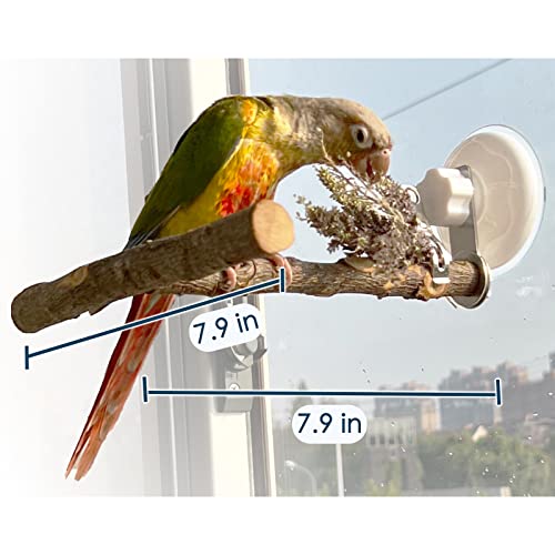Qimilenzy Suporte para Janela de Pássaro/Banheira/Carro/Poleiro de Viagem com Ventosa para Pássaros