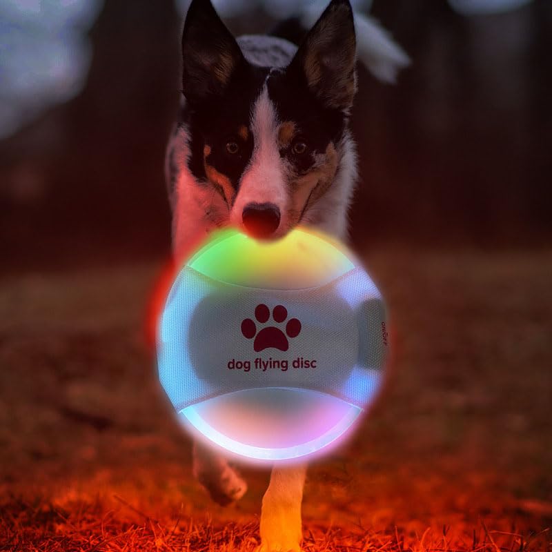 DoggKKin LED Rechargeable Dog Frisbee - Glowing Flying Disc for Night Play - Durable Waterproof LED Dog Toy for Outdoor Training - Perfect for Medium, Small Dog Backyard, Park & Beach Fun (Colorful)