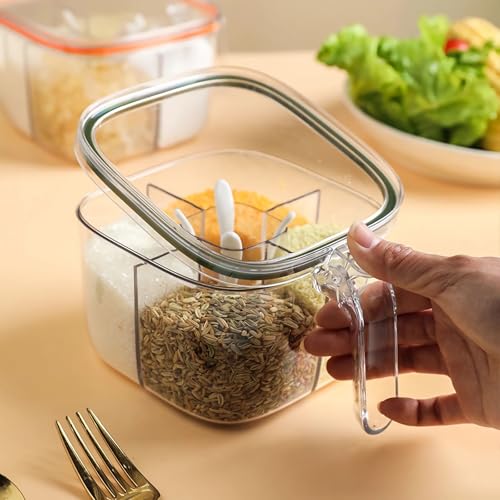 ADVOK4 Compartment Condiment Pots Set, Transparent Seasoning Box with Lids and Spoons, Convenient and Neat Storage Solution for Your Kitchen (Transparent Green)