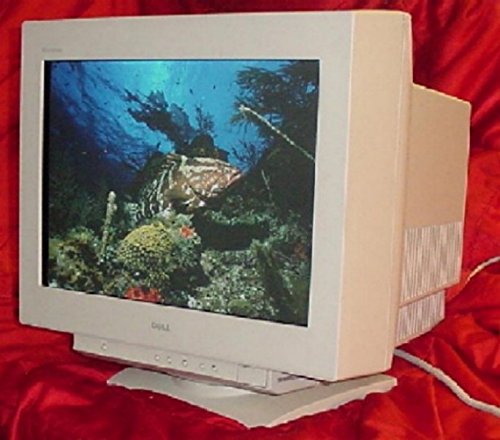 DELL 21インチ Trinitron P1110 CRTモニター　動作確認済 P1110 Dell 21 trinitron Crt Monitor color blanco : Amazon.com.mx
