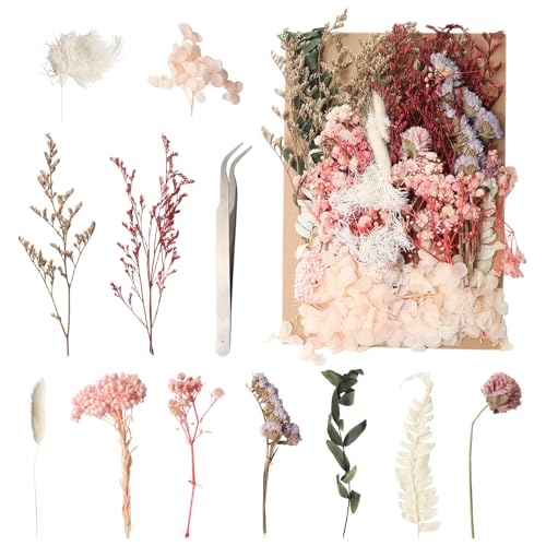1 Pack Flores Secas Naturales Mixtas para Manualidades miniatura 1