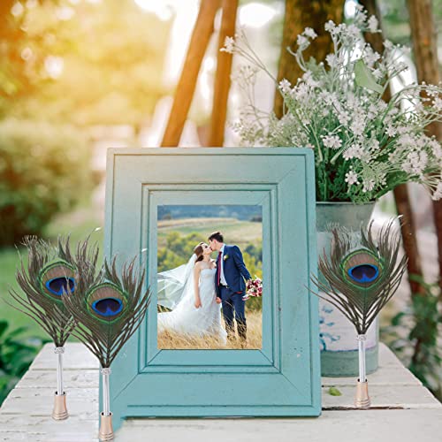 Penne a sfera piuma d'Oca Pennino calligrafia