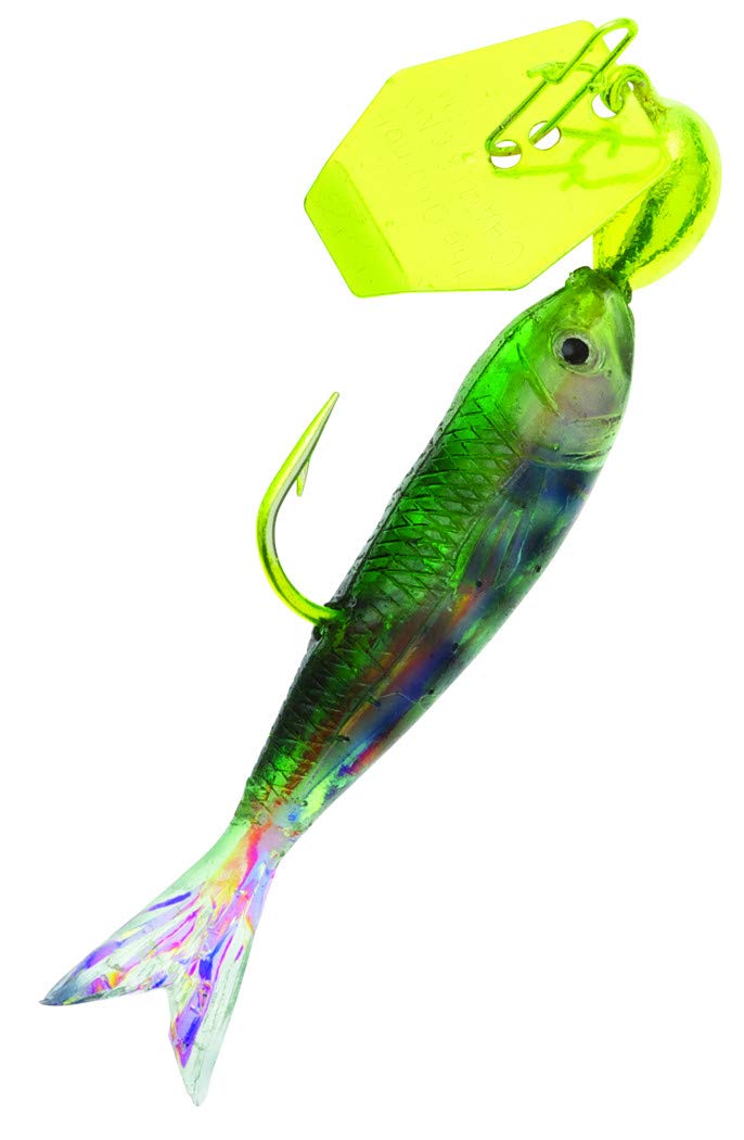 Amazon.com : Z-Man CB-FBMINI18-10 Flashback Mini : General