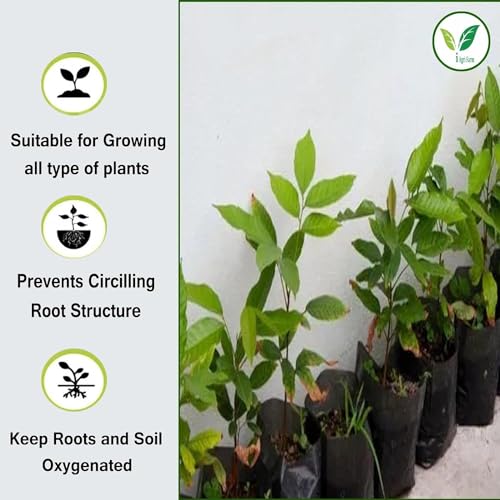 Image of IAgriFarm UV Protected Poly Grow Bag /Nursery Plant Bags, 5x8 inch,250 Qty,Black,