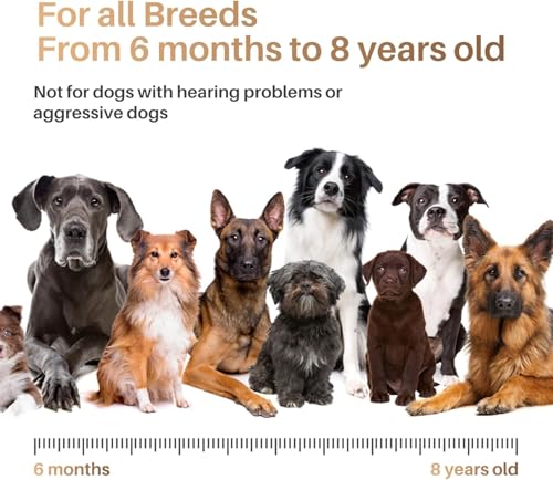 Bubbacare Anti Bell Gerät Hunde, Tragbares Ultraschall Antibell Ultraschall Gerät mit Doppelfrequenz, 16.4 Fuß Effektives Antibell für Hunde für das Training im Innen- und Außenbereich