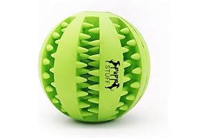 Wunder Ball: 2-in-1 Dog Toy for Limitless Fun and Canine Well-being
