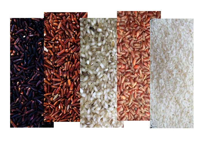COMBO PACK for complete Family - Karupu Kavuni/Black Rice -1 Kg, Mappillai Samba - 1 Kg, Poongar - 1 Kg, Kattuyanam Rice - 1 Kg, Thuyamalli Rice - 1 Kg Pack of 5x1Kg-image-44