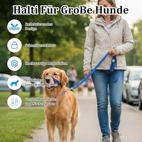 Robustes Anti-Zug-Hundeleine Set – Blaues Hundehalsband für Große Hunde, Langlebiges Trainingszubehör mit Einfacher Anpassung, Leicht & Gepolstert