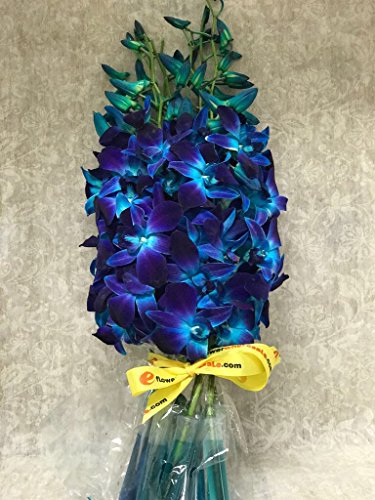 Premium Cut Blue Orchids (20 Stems Orchid with Vase) - Thumbnail 3