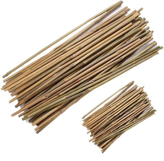 HUDU Natural Bamboo Stakes (2 Feet - 20 Piece, 1 Feet - 30 Piece), Eco-Friendly Garden Stakes, Plant Stakes Supports Climbing for Indoor & Outdoor Plants, Tomatoes, Trees, Beans, Pkg of 50 Piece Stakes (B0BGQCFW2Z) Amazon Price History, Amazon Price Tracker