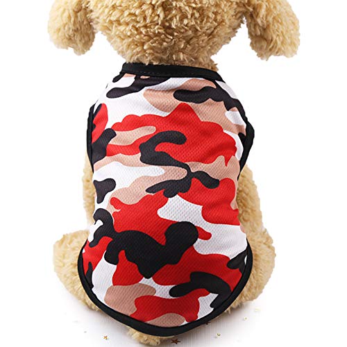 犬がベーコンを食べると危険 犬の食べ物の注意点 愛犬家が集まる Dogi