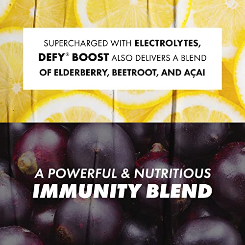 DEFY Elderberry Lemonade Raise Beverages + Immunity Strength Drinks