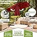tillvex® Alu Sonnenschirm Rechteckig Ø 330 cm + Abdeckung mit Kurbel | Ampelschirm Aluminium Eckig mit Ständer & Windschutz | Gartenschirm UV-Schutz, wasserdicht, 360° drehbar