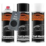 TRISTARcolor Peinture voiture Kit bombes de peinture pour pare chocs en plastique pour Isuzu U8555 Black primaire d'adhérence peinture de base vernis clair avec plastifiant aérosol